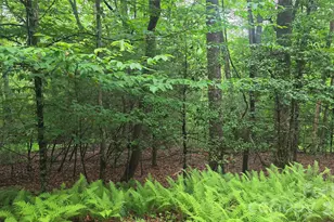 Tbd Wingfield Way, Brevard, NC 28712 - Photo 1