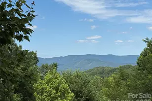 0 Scouts Trail, Bostic, NC 28018 - Photo 1