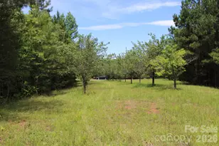 000 John Watson Rd, Rutherfordton, NC 28139 - Photo 1