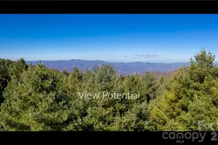 197 Eagle Bald Trl, Burnsville, NC 28714 - Photo 1