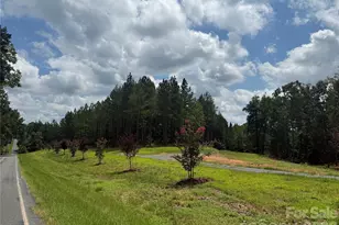 10320 Fink Rd, Mount Pleasant, NC 28124 - Photo 1