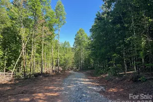 V/L Lotus Dr, Nebo, NC 28761 - Photo 1