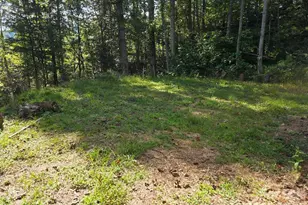 181 Poison Ivy Dr, Burnsville, NC 28714 - Photo 1