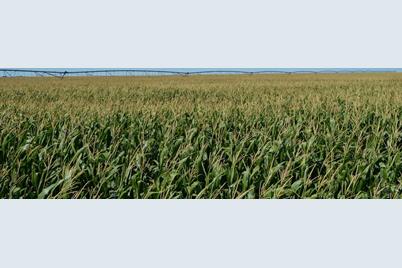 Na State Hwy 89, Holly, CO 81047 - Photo 1