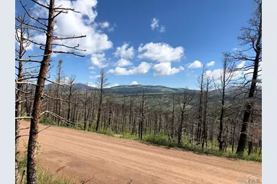 323 Wagon Mesa Loop, Fort Garland, CO 81133 - Photo 4