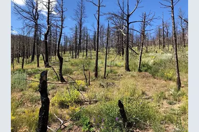 323 Wagon Mesa Loop, Fort Garland, CO 81133 - Photo 1