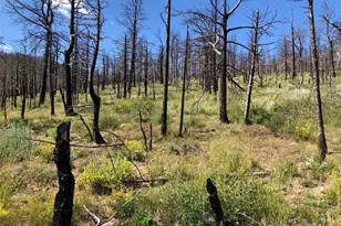 323 Wagon Mesa Loop, Fort Garland, CO 81133 - Photo 1