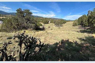 110 Hideaway Trail, Rockvale, CO 81244 - Photo 6