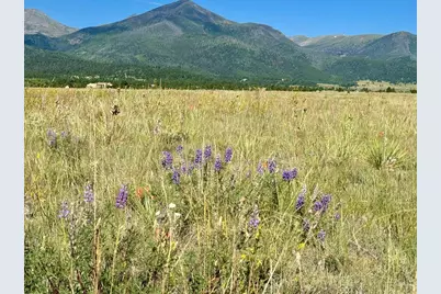 5151 County Rd 160, Westcliffe, CO 81252 - Photo 1
