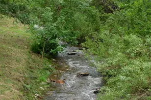 8988 Grand Ave, Beulah, CO 81023 - Photo 16