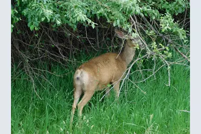8988 Grand Ave, Beulah, CO 81023 - Photo 18