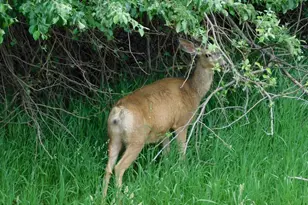 8988 Grand Ave, Beulah, CO 81023 - Photo 18