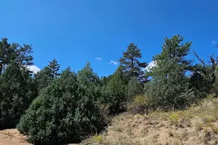 73 Alpine Way, Cotopaxi, CO 81223 - Photo 1