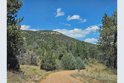 73 Alpine Way, Cotopaxi, CO 81223 - Photo 6