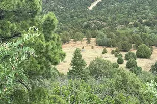 33001 Oak Way, Trinidad, CO 81082 - Photo 56