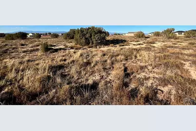 833 S Charlo Dr, Pueblo West, CO 81007 - Photo 2