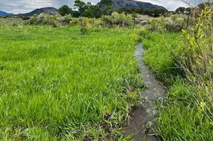 640 County Rd 571, Gardner, CO 81040 - Photo 6