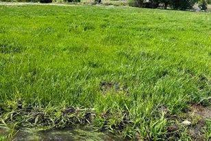 640 County Rd 571, Gardner, CO 81040 - Photo 8