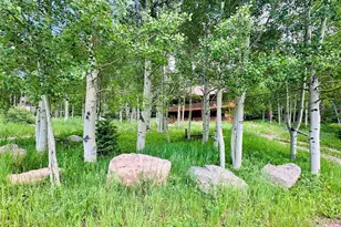 834 Ponderosa Rd, Cuchara, CO 81055 - Photo 12