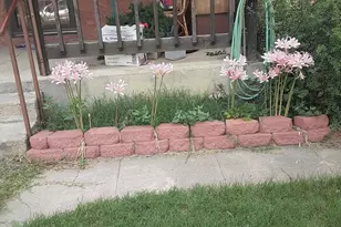 515 N 7th St, Rocky Ford, CO 81067 - Photo 20