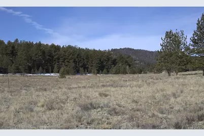 2450 Antelope Lane, Guffey, CO 80820 - Photo 4