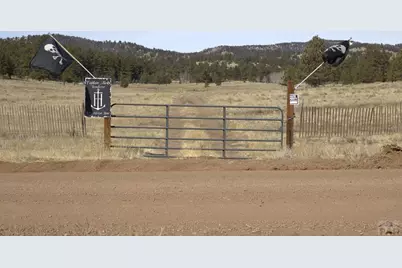 2450 Antelope Lane, Guffey, CO 80820 - Photo 12