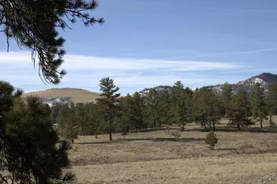 2450 Antelope Lane, Guffey, CO 80820 - Photo 8