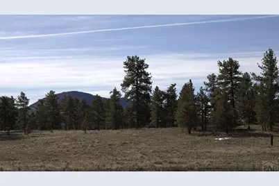 2450 Antelope Lane, Guffey, CO 80820 - Photo 2