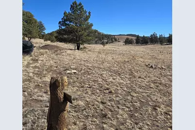 2450 Antelope Lane, Guffey, CO 80820 - Photo 2
