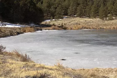 2450 Antelope Lane, Guffey, CO 80820 - Photo 24