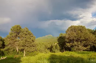 9500 County Rd 20 8, Trinidad, CO 81082 - Photo 14