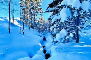 44 Valley Vista Rd, Cuchara, CO 81055 - Photo 38