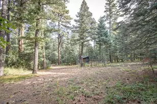 8888 Zorn Rd, Rye, CO 81069 - Photo 6