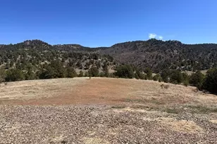 11751 County Rd 31 9, Weston, CO 81091 - Photo 32