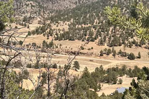 11751 County Rd 31 9, Weston, CO 81091 - Photo 56