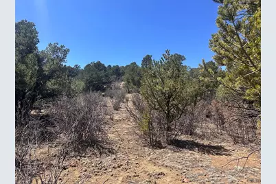 11751 County Rd 31.9, Weston, CO 81091 - Photo 54