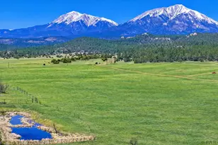 24030 County Rd 43 6, Aguilar, CO 81020 - Photo 8