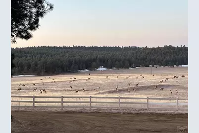 24030 County Rd 43.6, Aguilar, CO 81020 - Photo 12