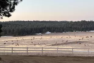 24030 County Rd 43 6, Aguilar, CO 81020 - Photo 12