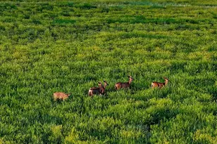 24030 County Rd 43 6, Aguilar, CO 81020 - Photo 8