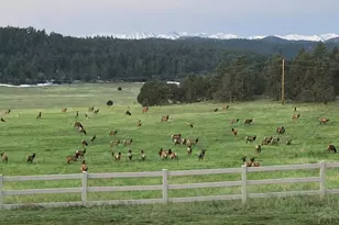 24030 County Rd 43 6, Aguilar, CO 81020 - Photo 10