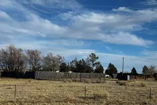 29120 Lynn Rd, Aguilar, CO 81020 - Photo 20