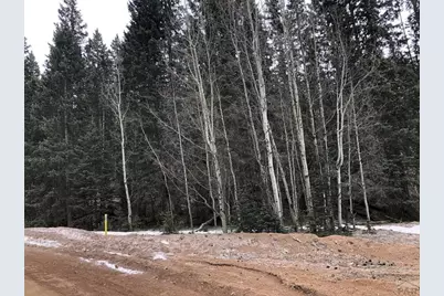 864 Wellington Dr, Cripple Creek, CO 80813 - Photo 4