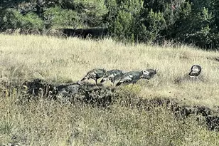 13045 Picketwire Rd, Bon Carbo, CO 81024 - Photo 34