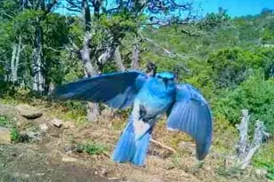 13045 Picketwire Rd, Bon Carbo, CO 81024 - Photo 36