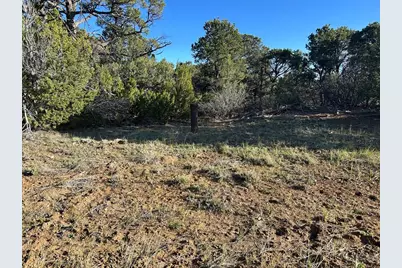 Lot 165 Silver Spurs Ranch, Walsenburg, CO 81089 - Photo 16