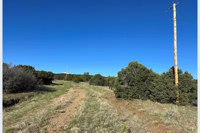 Lot 165 Silver Spurs Ranch, Walsenburg, CO 81089 - Photo 2