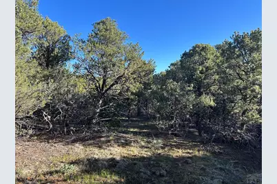 Lot 165 Silver Spurs Ranch, Walsenburg, CO 81089 - Photo 14