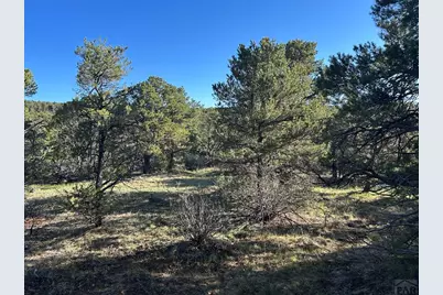 Lot 165 Silver Spurs Ranch, Walsenburg, CO 81089 - Photo 8