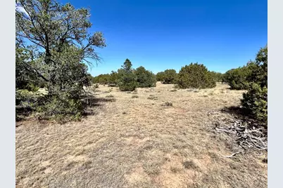 Lot 919 Los Vaqueros Cir., Walsenburg, CO 81089 - Photo 10